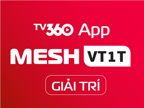 MESHVT1T_GIAITRI