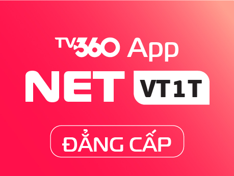 NETVT1T - DANGCAP